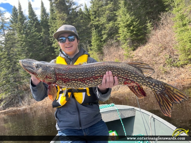 40" Northern Pike caught on Lake of the Woods