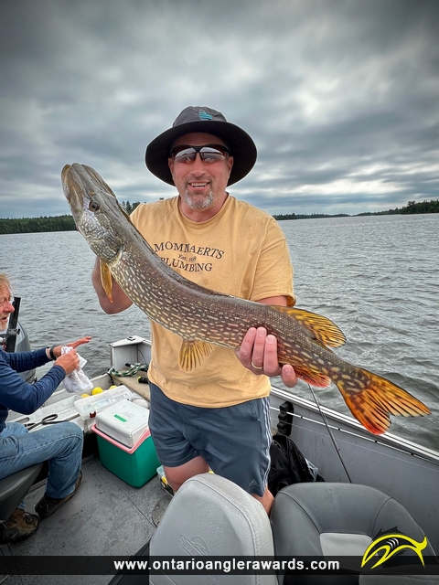 31.5" Northern Pike caught on Lake of the Woods