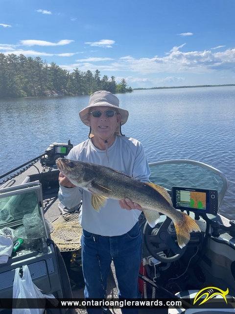 26.5" Walleye caught on Lake of the Woods