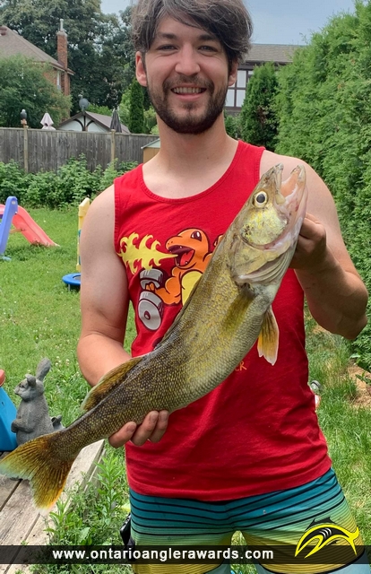 27" Walleye caught on Grand River