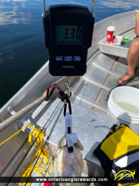 18.5" Largemouth Bass caught on Katchewanooka Lake