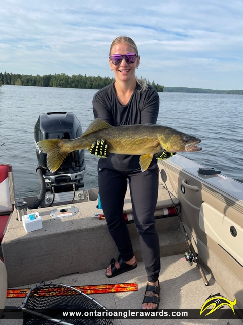 27" Walleye caught on Lake of the Woods 