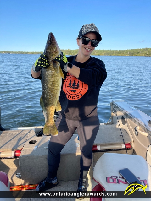 28.5" Walleye caught on Lake of the Woods 