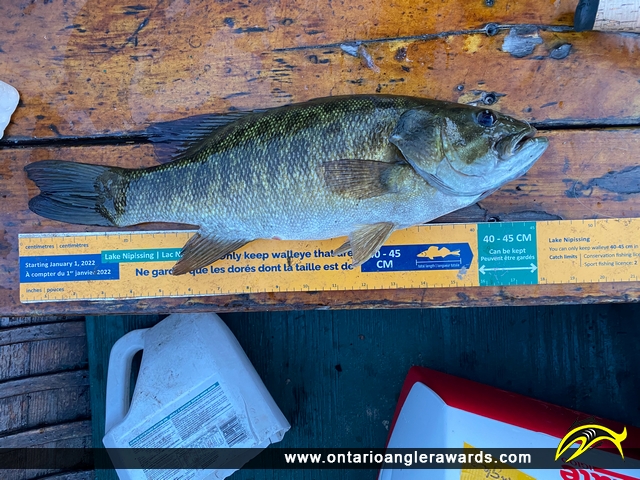 18" Smallmouth Bass caught on Lake Nipissing