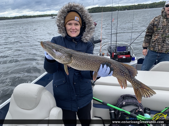 34" Northern Pike caught on Clearwater Bay 