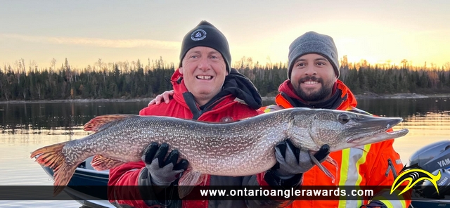 38.5" Northern Pike caught on Mojikit Channel