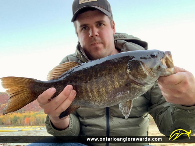 19.5" Smallmouth Bass caught on Ottawa River