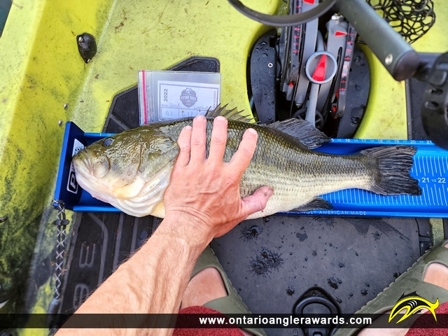 20.5" Largemouth Bass caught on Pine Lake