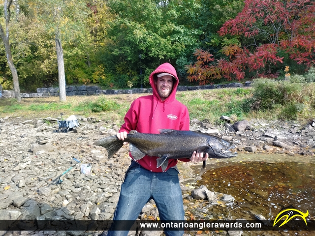 45.5" Chinook Salmon caught on Napanee Falls