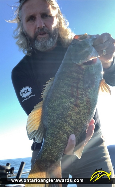 19.5" Smallmouth Bass caught on Lake Erie 