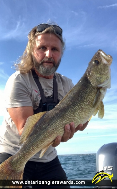 29" Walleye caught on Lake Erie 