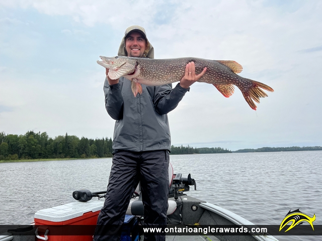 43" Northern Pike caught on Lac Seul