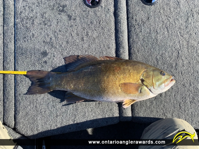 21.75" Smallmouth Bass caught on Lake Erie