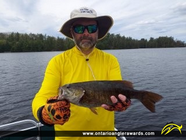 19" Smallmouth Bass caught on Little Vermilion Lake