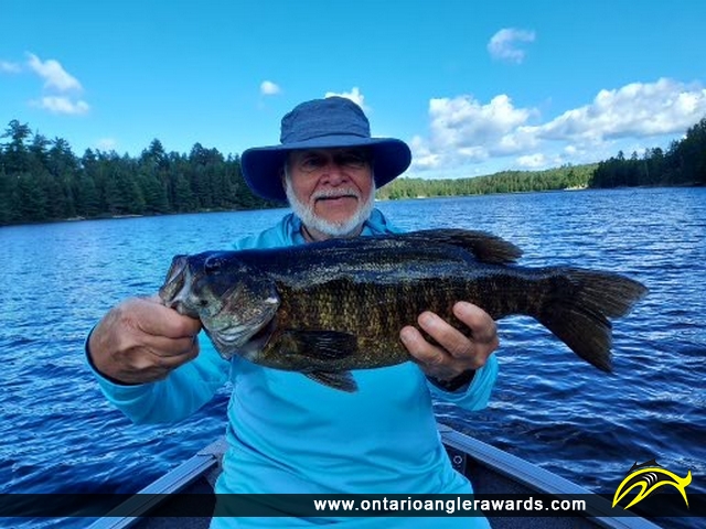19" Smallmouth Bass caught on Little Vermillion Lake