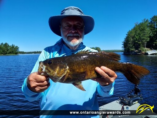 18" Smallmouth Bass caught on Little Vermilion Lake