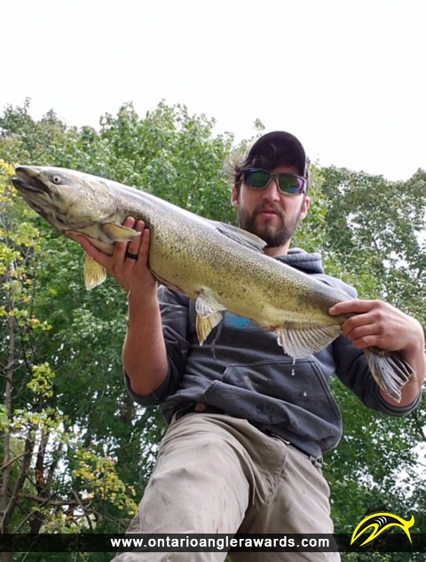 39" Chinook Salmon caught on Bronte Creek