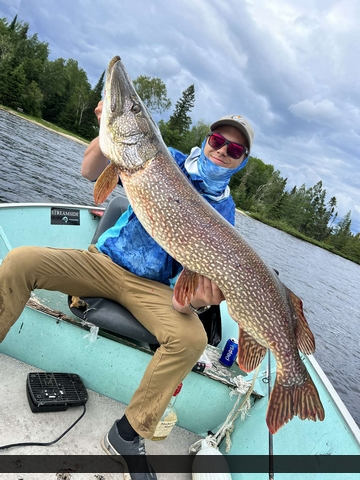 45" Northern Pike caught on Hawk Lake