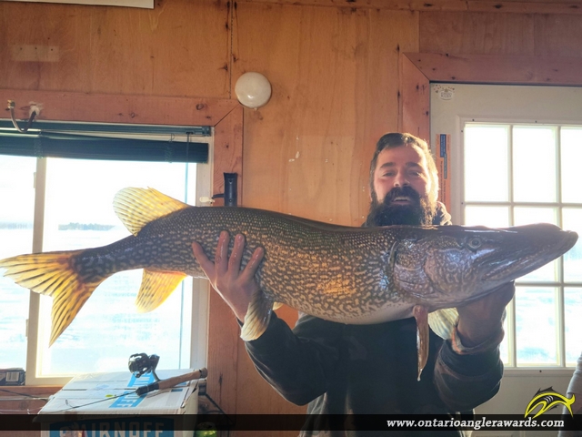 44" Northern Pike caught on Lake Nipissing