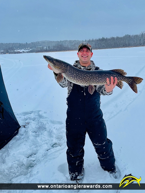 40.5" Northern Pike caught on Kamaniskeg Lake