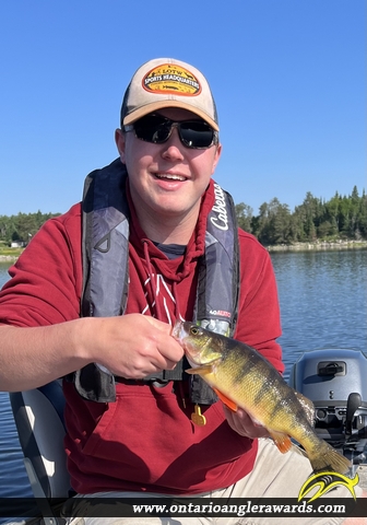 13" Yellow Perch caught on Winnipeg River 
