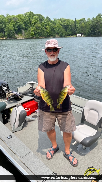 12.5" Yellow Perch caught on Bobs Lake