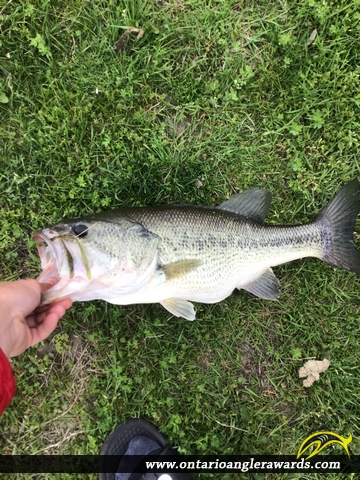 24" Largemouth Bass caught on Lake Laguna