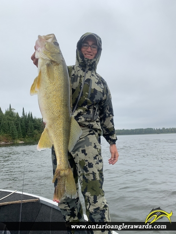 29" Walleye caught on English River
