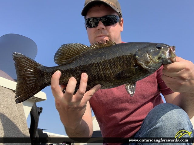 18" Smallmouth Bass caught on Lake Timiskaming