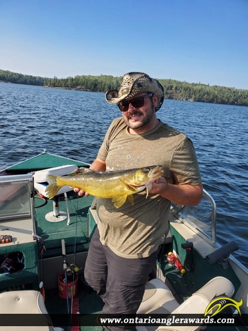 25.5" Walleye caught on One Man Lake