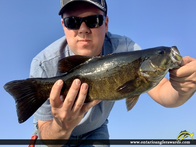 17" Smallmouth Bass caught on Lake Timiskaming