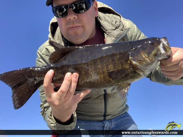19" Smallmouth Bass caught on Lake Timiskaming