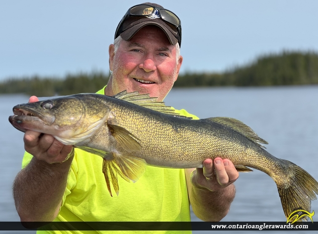 29" Walleye caught on Hornby Lake