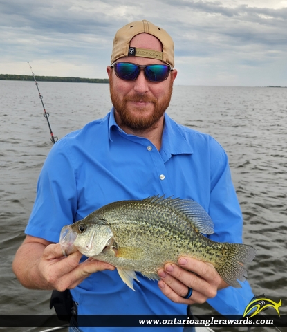 14" Black Crappie caught on Lake of the Woods