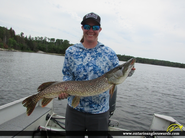 31" Northern Pike caught on Lake of the Woods