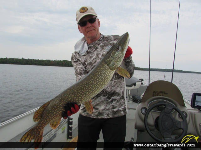32" Northern Pike caught on Lake of the Woods
