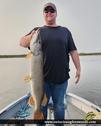 40.5" Northern Pike caught on Lake of the Woods
