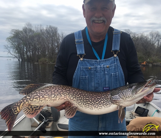 36" Northern Pike caught on Lake of the Woods