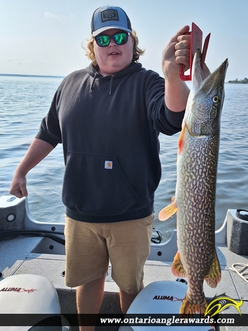 38" Northern Pike caught on Lake of the Woods