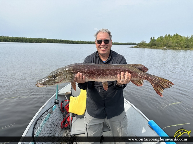 43.75" Northern Pike caught on North Caribou