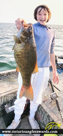 19.50" Smallmouth Bass caught on Lake Ontario 
