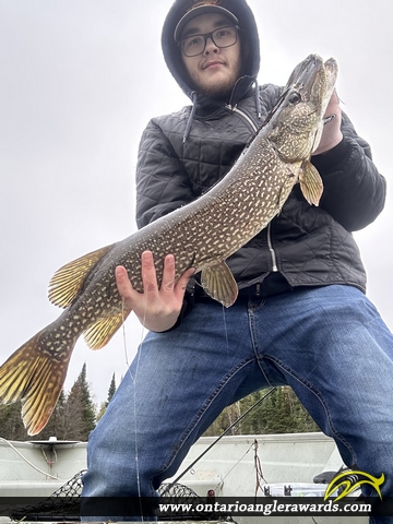 40" Northern Pike caught on Lake of the Woods