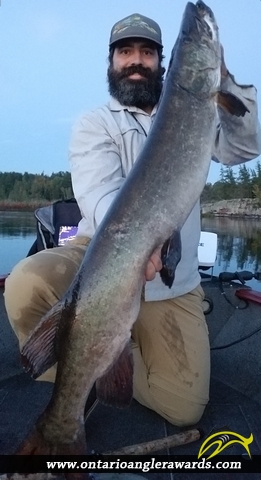 50" Muskie caught on French River