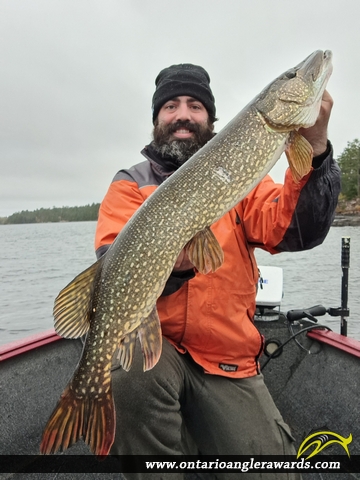 39" Northern Pike caught on Trout Lake