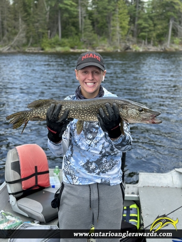 30.5" Northern Pike caught on Kecil Lake