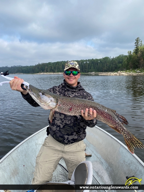 39" Northern Pike caught on Lount Lake