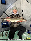 24.75" Whitefish caught on Lake Simcoe