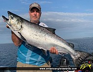 39.5" Chinook Salmon caught on Lake Ontario