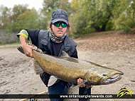 37" Chinook Salmon caught on Lake Ontario 