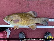 19" Smallmouth Bass caught on Eagle Lake